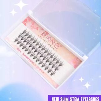 N2294 Extension de pestaña