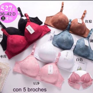 527 Niña moderna Bra Copa D $59