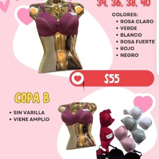 Modelo: 2023  (sin varilla)