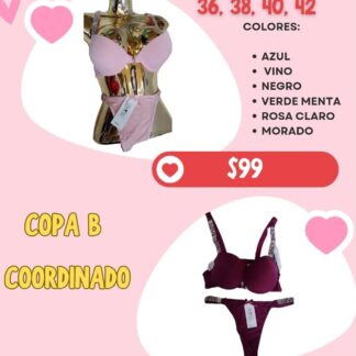 Modelo: 68-255 coordinado