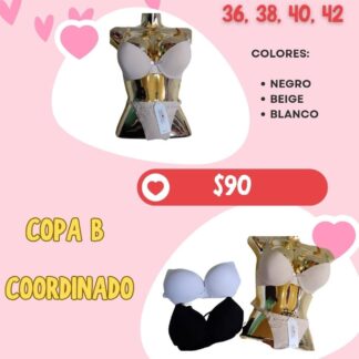 Modelo: 68-510 coordinado