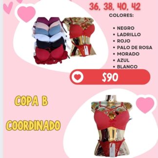 Modelo: 68-533 coordinado