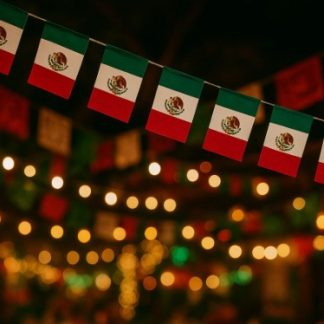 Guía de bandera de tela delgada $15 pz $20 por 2 piezas