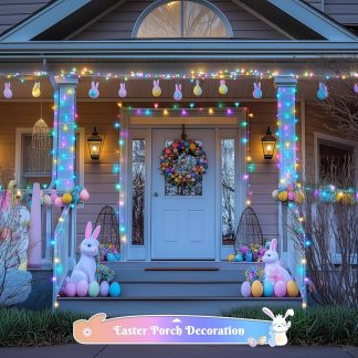 25195  serie multicolor